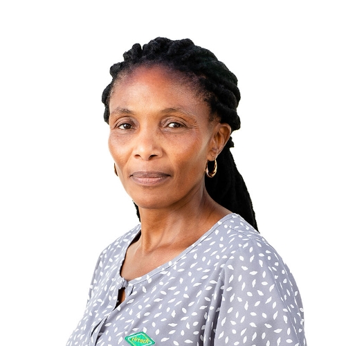 Cirtech Electronics Team